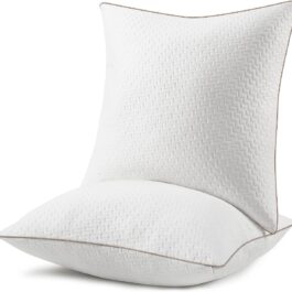 BedStory Bamboo Pillows Pair