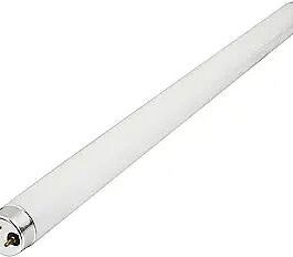 White Fluorescent Light,