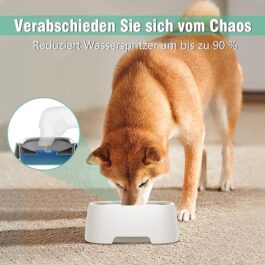 Water Bowl for Dogs