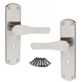 Stainless Steel Mortise Handle