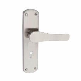 Stainless Steel Mortise Handle