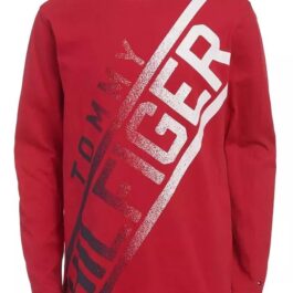 Tommy Hilfiger Kids Long Sleeve Fader Tee