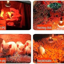 Heating Lamp for Animal, Infrared Heat Lamp for Chickens, Waterproof E27 Thick Heat Surface Light Bulb, Brooding Spot Light Red Bulb for Pig Piglet Pet Brooder Coop Chicken Duck