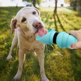 Portable Dog Water Bottle