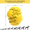Pet treat dispenser - Image 2