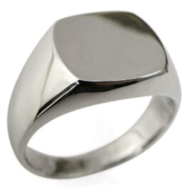 Signet ring for men, silver