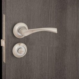 Silver Door handles