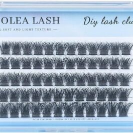 Lashes Cluster, 60 Pcs Mix Individual Lashes Cluster D Curl 10-16 mm Length, DIY Eyelash Extension Reusable Soft Natural False Lashes Fluffy Cluster Eyelash (B)