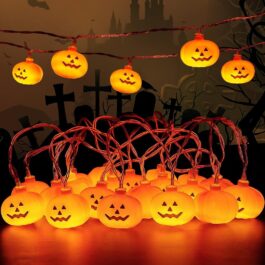 Fuansheng pumpkin lights 3m 20 led 3D