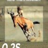 iZEEKER Trail Camera 32MP 1080P, Trail Cameras with 940nm No Glow Infrared LEDs - Image 4