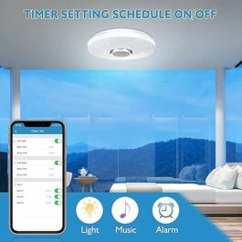 ELINUME Ceiling Light with Bluetooth Speaker 30W