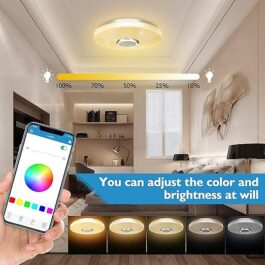 ELINUME Ceiling Light with Bluetooth Speaker 30W