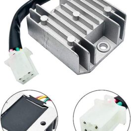 SUNWAN Universal 4-Wire Regulator – 12V