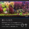 The 2Hr Aquarist - Image 5