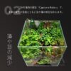 The 2Hr Aquarist - Image 2