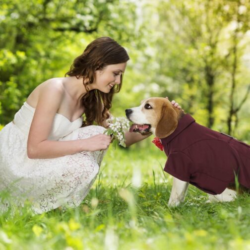 Dog Tuxedo - Image 4