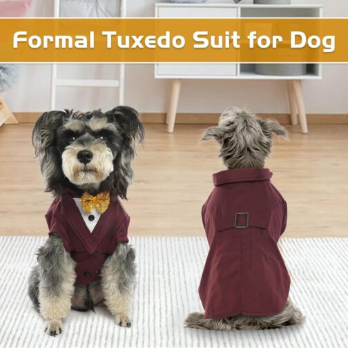 Dog Tuxedo - Image 5