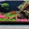 The 2Hr Aquarist - Image 4