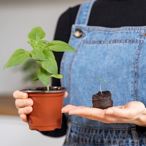 Coco Coir Seed Starter Pellets - Image 2