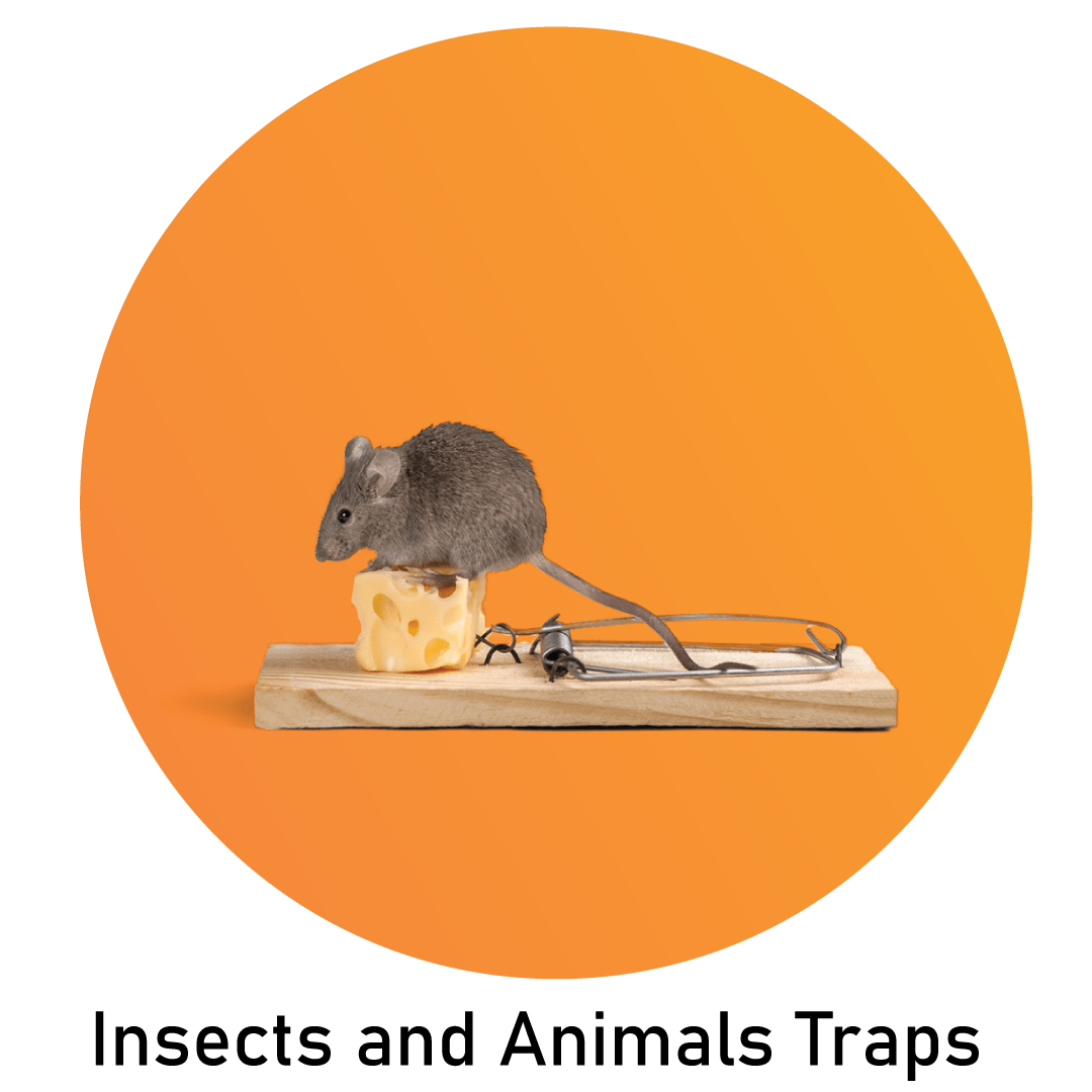 Insects and Animals Traps