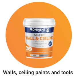 Walls and Ceiling Paints and Tools