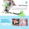 Dog Dental Care - Image 5