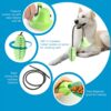 Dog Dental Care