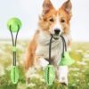 Dog Dental Care - Image 2
