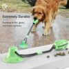 Dog Dental Care - Image 4